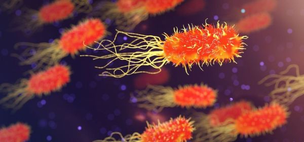 Biotech: &Uuml;bernahmen und Blockbuster stehen im Raum! Im Rampenlicht tauchen immer wieder Novo Nordisk, BioNxt und Bayer auf