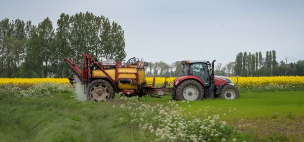 Br&uuml;ssel treibt den Milliardenmarkt D&uuml;nger an: K&ouml;nnen Bayer, MustGrow Biologics und K+S profitieren?