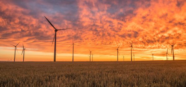 Constellation Energy, NU E Power, Siemens - diese Aktien stehen im Zentrum des Energiebooms