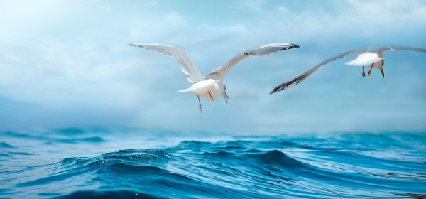 Die Rally bei kritischen Metallen geht weiter! 250 % Chance mit Antimony Resources