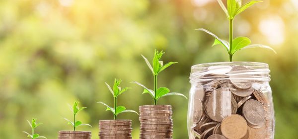 Die Top-Dividendenaktien: Mit Novo Nordisk, RE Royalties und SAP ernten Sie, wo andere nur Risiko sehen