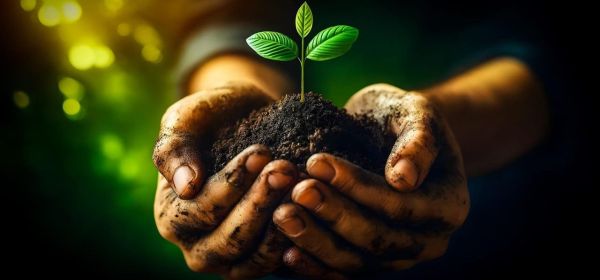 Die Zukunft der Ern&auml;hrung: Gro&szlig;e Chancen f&uuml;r MustGrow und K+S! Wie geht es nach dem Absturz bei Evotec weiter?
