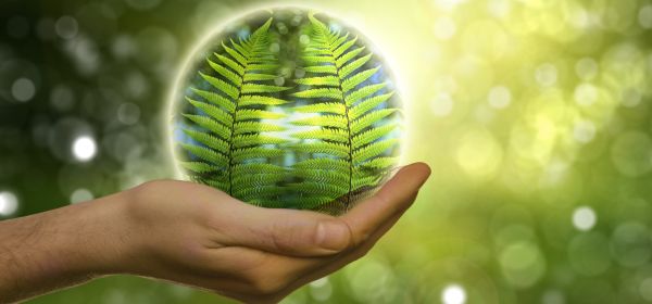 Diese drei Aktien im Energie-Sektor sollten Sie nicht verpassen &ndash; Occidental Petroleum, Zefiro Methane und NextEra Energy