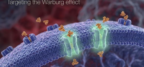 Durchbr&uuml;che gegen Hautkrebs: Neue Ans&auml;tze von Biofrontera und Moderna &ndash; Vidac Pharma vor hei&szlig;em Herbst