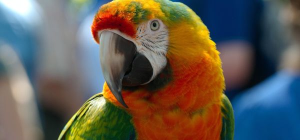 Europa gibt Gas! E-Mobilit&auml;t mit sicheren Lieferketten! Avrupa Minerals, BYD, VW und Stellantis