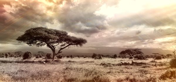 Iran, Israel, USA &ndash; Investoren suchen Gold! Kaufchance f&uuml;r Desert Gold, Barrick Mining, TUI und Lufthansa