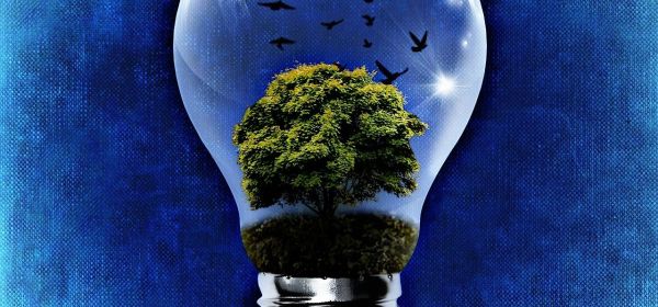 Megatrend Dekarbonisierung: CHAR Technologies in der Favoritenrolle, straucheln BASF und Evonik?