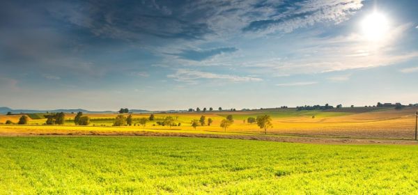 Nahost-Konflikt belastet M&auml;rkte: Food-Lieferketten werden zum Schl&uuml;sselthema &ndash; MustGrow, K+S, Evotec und BioNTech im Fokus