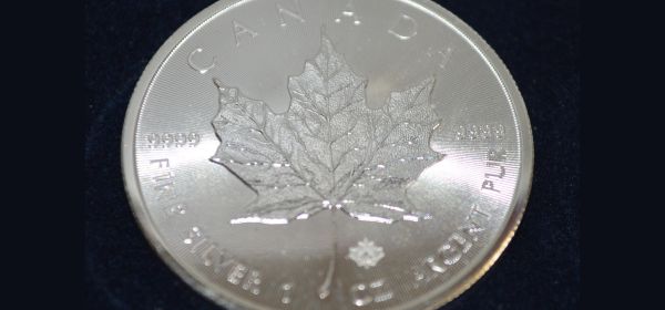 Silber bleibt ein hei&szlig;es Thema! Silver Viper Minerals meldet 183,5 g/t Gold plus 6.850 g/t Silber auf der La Virginia Liegenschaft