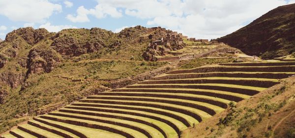 SILBER - Steht jetzt die 150 USD-Marke im Raum? Silver Viper auf dem Sprung!