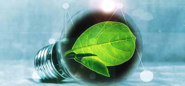 So kassieren Sie doppelt ab: Siemens Energy, RE Royalties und NextEra Energy profitieren von der Energiewende UND dem KI-Hunger