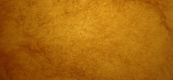 Spannende B&ouml;rsengeschichten und viel Kursfantasie: Die aussichtsreichen Aktien von Lahontan Gold, United Internet und Generac im News-Check