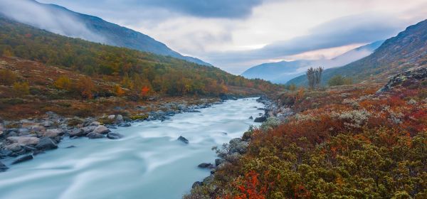 Uran und Kernkraft vor Wasserstoff! Investoren bevorzugen Stallion Uranium und lassen Nel ASA und Plug Power links liegen!